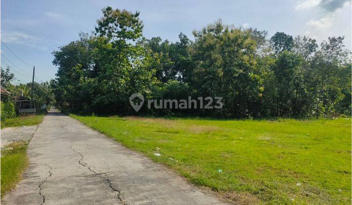 Tanah Jogja Murah 1,3 Jt/m SHM Pekarangan Luas 110 Area Perumahan 2