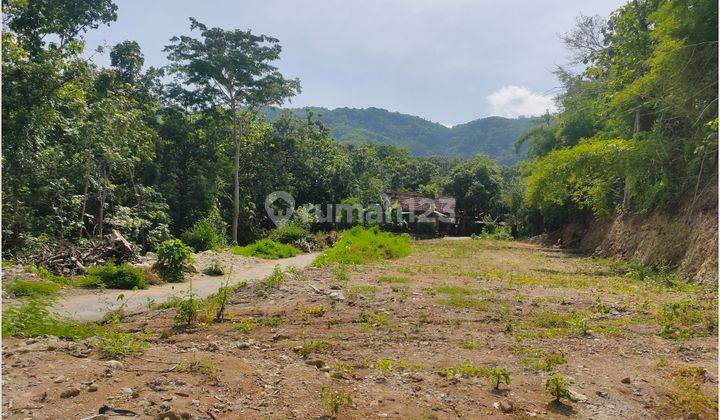 Tanah Jogja Dekat Jalan Pleret, Pasar Pleret Jalan Lintas Selatan 1