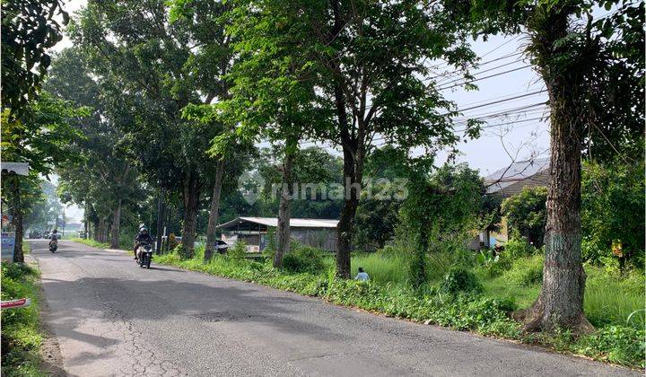 Tanah Jogja Dijual Barat Pasar Rejodani Jalan Palagan Km 11 Shmp 1