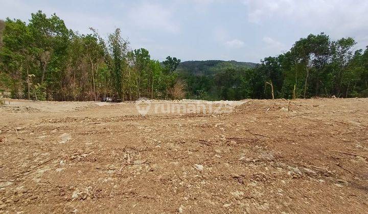 Tanah Jogja Murah Dekat Pasar Pleret 900 Ribu m Shmp 1