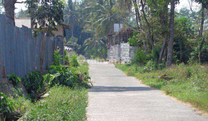 Tanah Jogja Murah Area Jl.besi jangkang Cocok Investasi 2