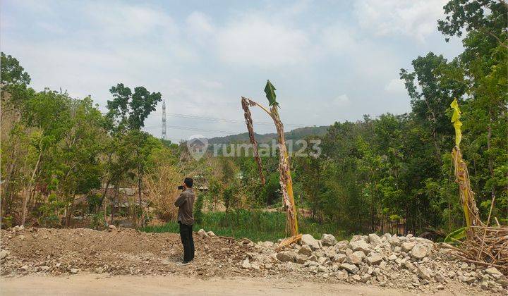 Tanah Bantul Murah Dekat Pasar Pleret 900 Ribu m Shmp 1