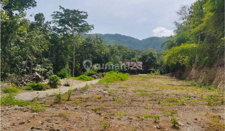 Tanah Jogja Murah Dekat Pasar Pleret 900 Ribu m Shmp 2