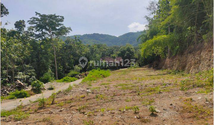 Tanah Jogja Dekat Jalan Pleret, Pasar Pleret Jalan Lintas Selatan 2