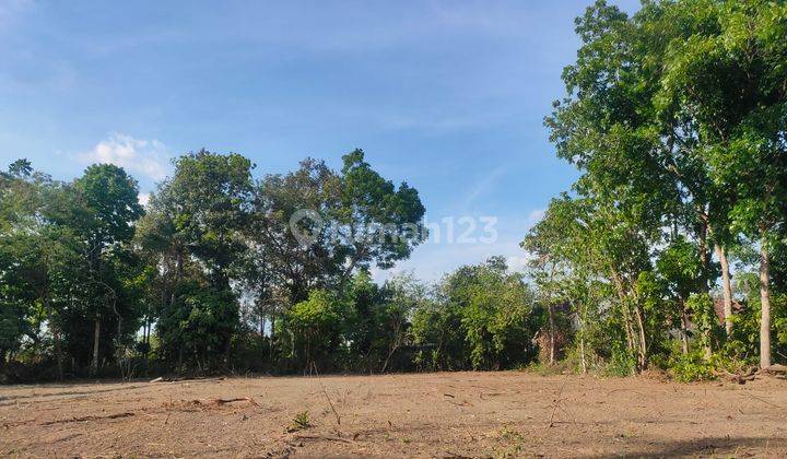 Tanah Sleman Dijual 200 Meter Jl.lpmp Tirtomartani Kalasan SHM 1