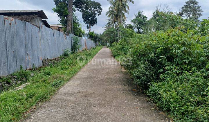 Tanah Jogja Dijual Dekat Jl.kaliurang Km 16 Timur Kampus Uii 2