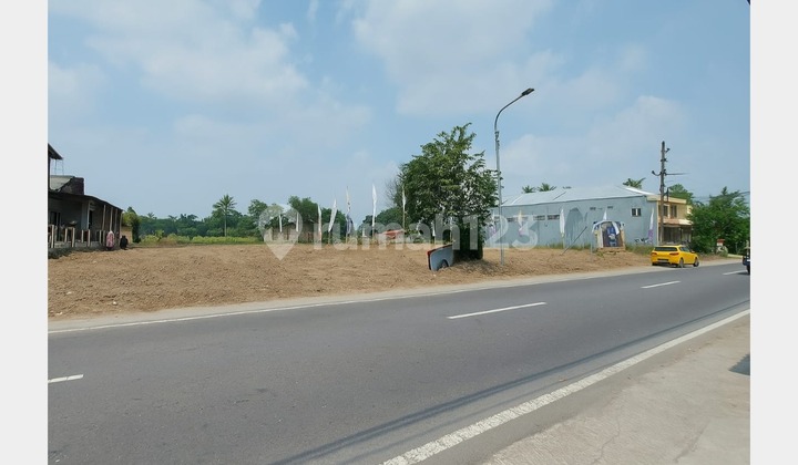 Tanah Sleman SHM 5 Menit Sleman City Hall, Promo Cicilan Bunga 0%