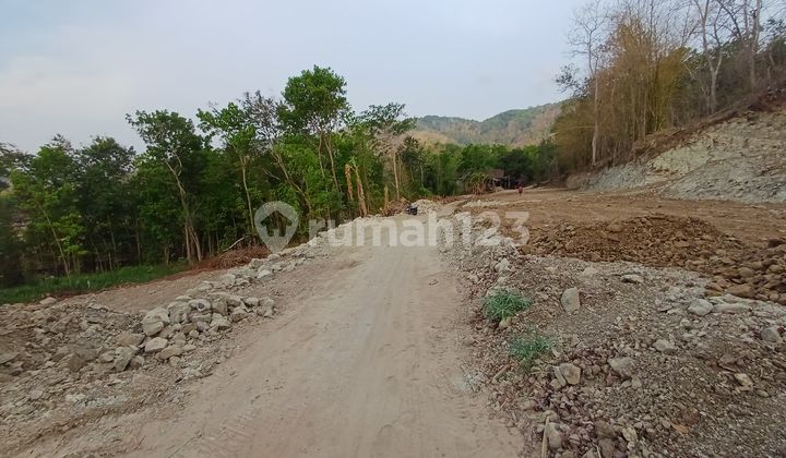 Tanah Bantul Dekat Pasar Pleret Promo 700 Rb-an/m Tanah Bantul Dekat Pasar Pleret Promo 700 Rb-an/m