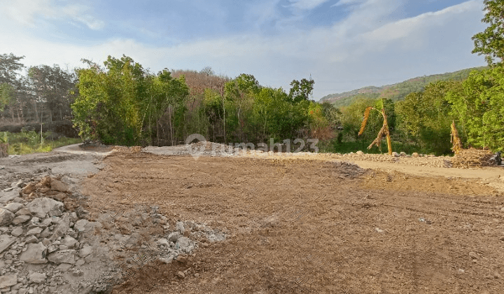 Termurah di Bantul, View Sawah, SHM Pekarangan 1