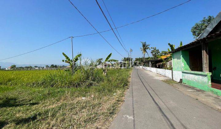 Tanah Jogja di Bokoharjo Dekat Jl Jogja Solo 1