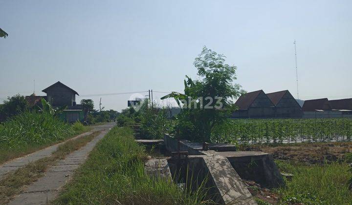 Tanah di Dekat Rs Pdhi, Bokoharjo Sleman SHM 116 m² 2