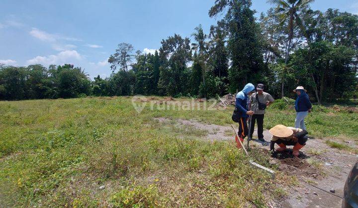 Tanah Murah Selomartani Jogja, 1 Jutaan, SHM 1