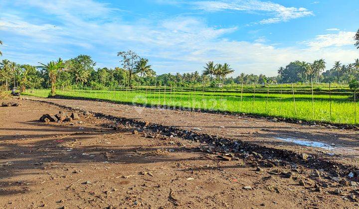 Tinggal 1 Unit! Tanah SHM Jogja, 2 Jutaan Dekat Masjid Suciati