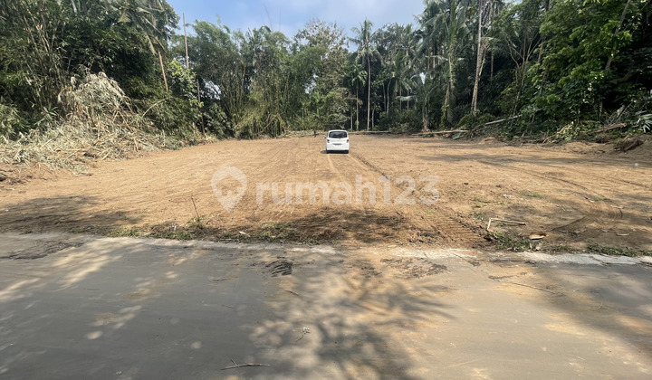 Cuma 170 Jt-an Bisa Dicicil, Tanah Jogja Belakang BPN Sleman Cuma 170 Jt-an Bisa Dicicil, Tanah Jogja Belakang BPN Sleman