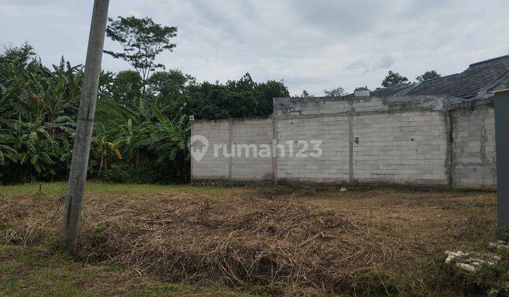 Tanah Kavling Dekat Masjid Al-barkah Rodja Cileungsi  2