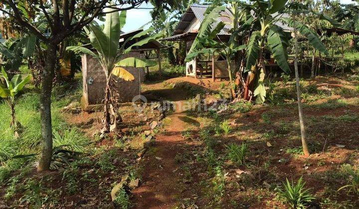 TANAH KEBUN SUKAMAKMUR DIJUAL CEPAT HARGA NEGO 1