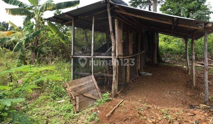 TANAH KEBUN SUKAMAKMUR DIJUAL CEPAT HARGA NEGO 2