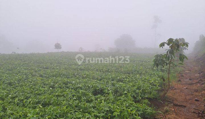 Kavling Stroberi Kawasan Agrowisata Arjasari Bandung Selatan  2