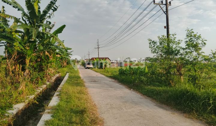 2 Tanah SHM Lokasi Strategis Palagan & Godean Sleman