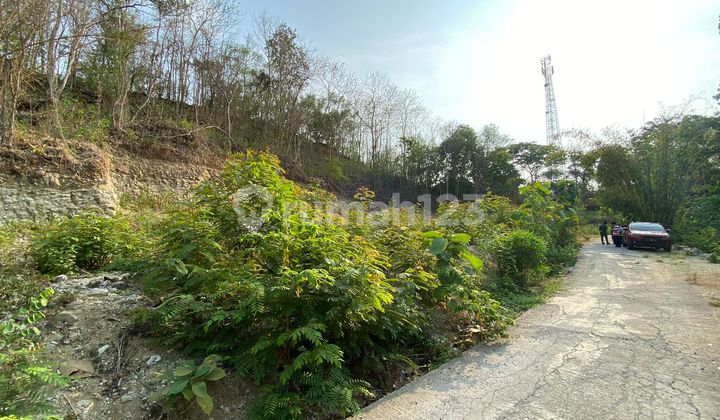 Rumah Jogja Tenang & Produktif - Lokasi Investasi Hijau 2