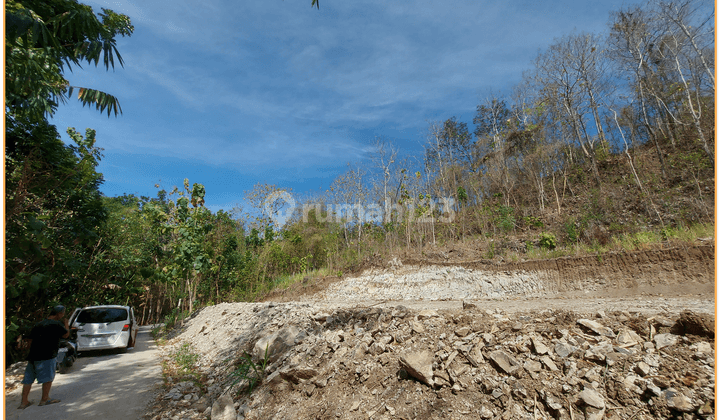 Jual Tanah Dekat Puncak Sosok 700 Ribuan Akses Mudah 2