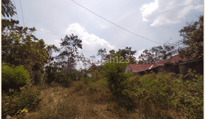 Tanah Jogja Strategis Dekat Candi Sari 2 Jutaan 2