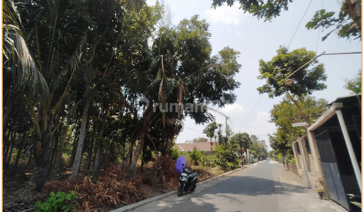 Dijual Tanah Jogja Dekat Candi Sambi Sari 2 Jutaan Siap Bangun 2