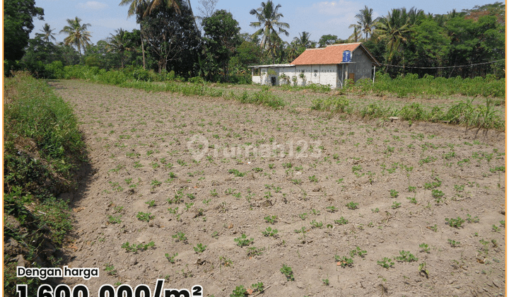 Dijual Tanah SHM Pekarangan 1 Jutaan Dekat Blue Lagoon Jogja 1