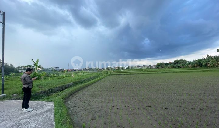 Siap AJB, Dekat Universitas Sleman Jogja Siap AJB, Dekat Universitas Sleman Jogja