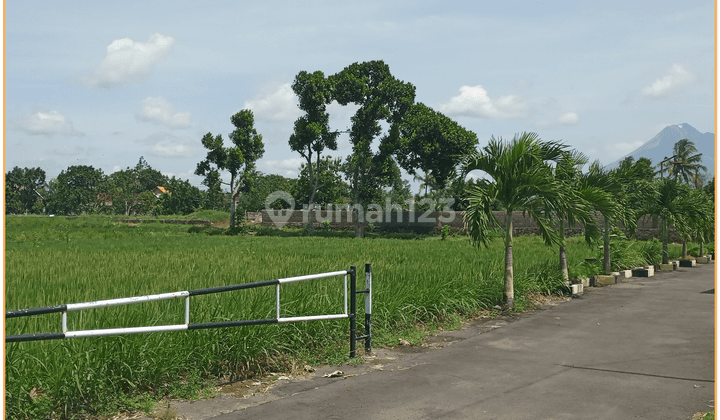 Tanah Piyungan Siap Bangun Dekat Pasar Kembangsari 1 Jutaan 2