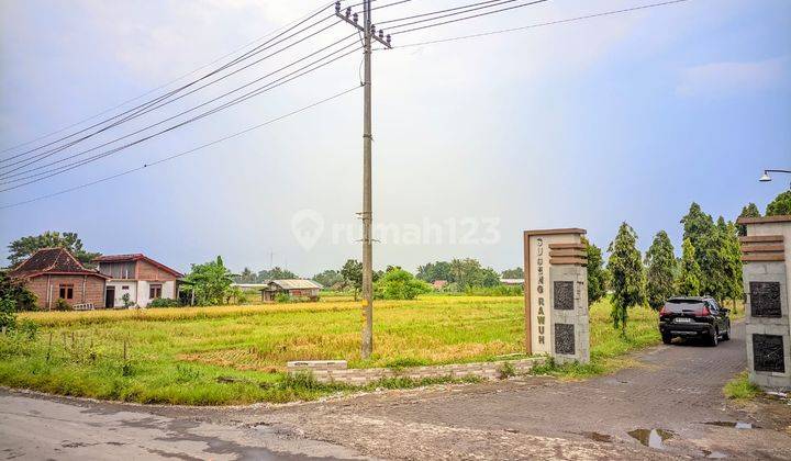 TANAH SIAP AKAD BONUS VIEW PERSAWAHAN GODEAN JOGJA 2
