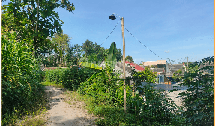 Dijual Tanah Akses Mudah Dekat Rsu Daerah Prambanan  2