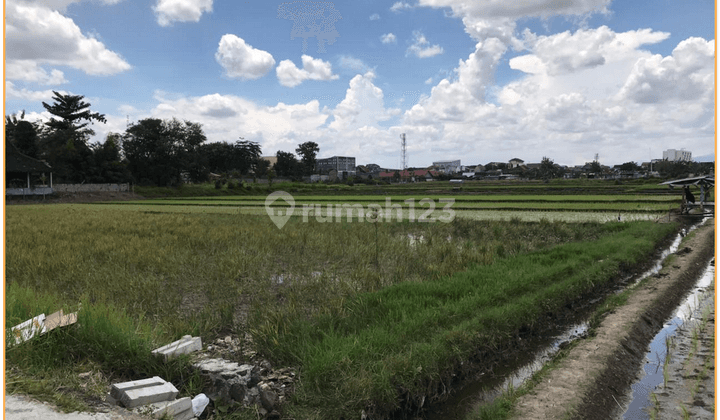 Dijual Tanah Jogja Dekat Kampus Uin Sunan Kalijaga Siap Bangun 2