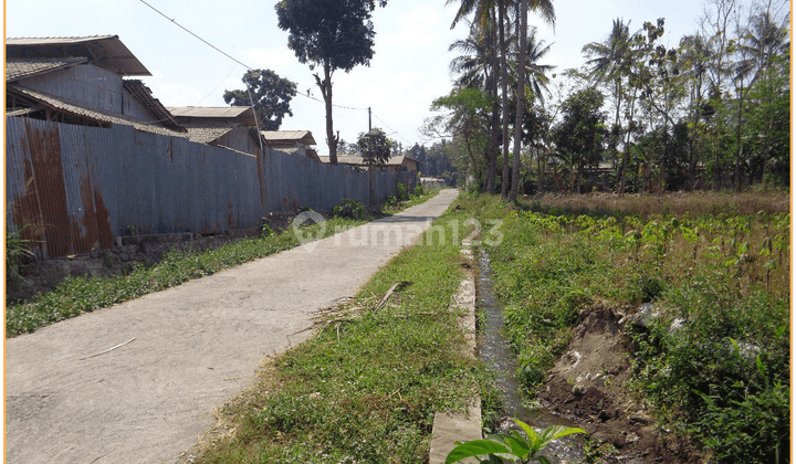 Dijual Tanah Ngemplak Dekat Pasar Jangkang 1 Jutaan 2