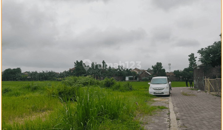 Dijual Tanah Strategis Dekat Gembira Loka Zoo Akses Mudah 1