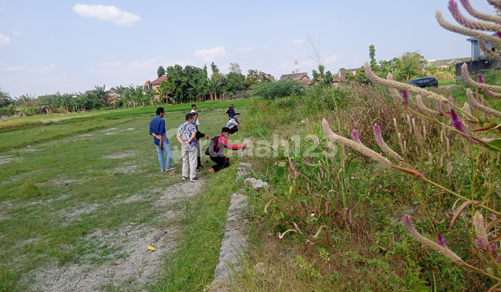 Tanah Super Langka SHM di Tengah Kota Jogja