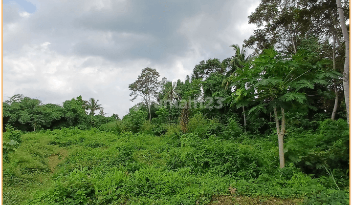 Dijual Tanah Jogja Siap Bangun Dekat Exit Tol Kalasan 2