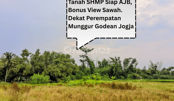 TANAH SIAP AKAD BONUS VIEW PERSAWAHAN GODEAN JOGJA 1
