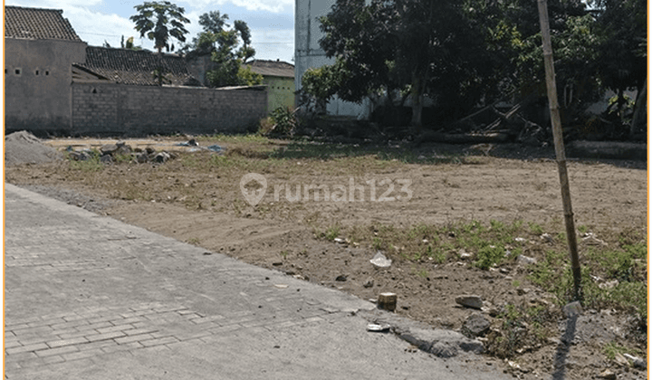 Dijual Tanah Prambanan Dekat Bandara Adisucipto 2 Jutaan 2