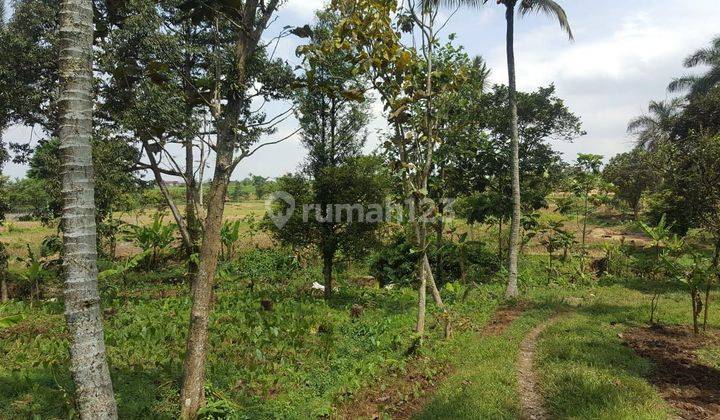 Di Jual Tanah dekat taman rekreasi di Cimelati Sukabumi 2