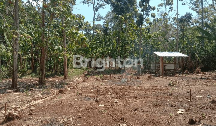 TANAH SIAP BANGUN,  MURAH, PODOREJO, NGALIYAN 1