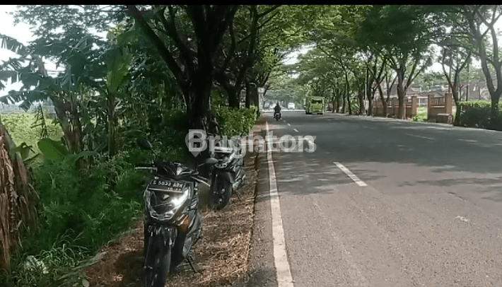 Sawah Lahan Hijau Produktif  Pinggir Jalan Raya  Bojonegoro 1