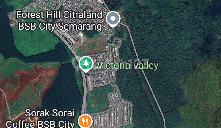 Tanah Kosong Ada Pohon Durian Siap Pakai 2