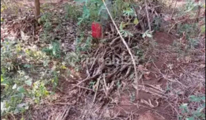 Tanah Milik Pribadi Ada 10 Pohon Duriansamping Bsb Mijen 2