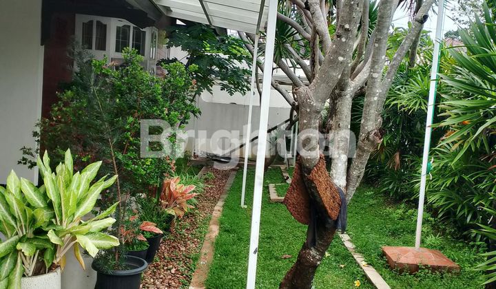 RUMAH BESAR LUAS DAN ASRI 1