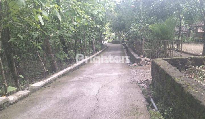 TANAH BONUS POHON JATI -+ 500 POHON , BAYAT, KLATEN 1