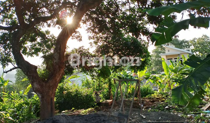 YANG JELI TANAH COCOK BUAT INVESTASI DEKAT KAMPUS UNDIP