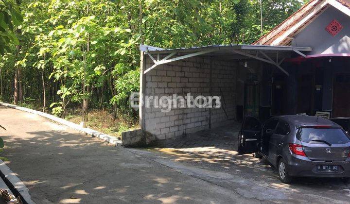 TANAH BONUS POHON JATI -+ 500 POHON , BAYAT, KLATEN 2