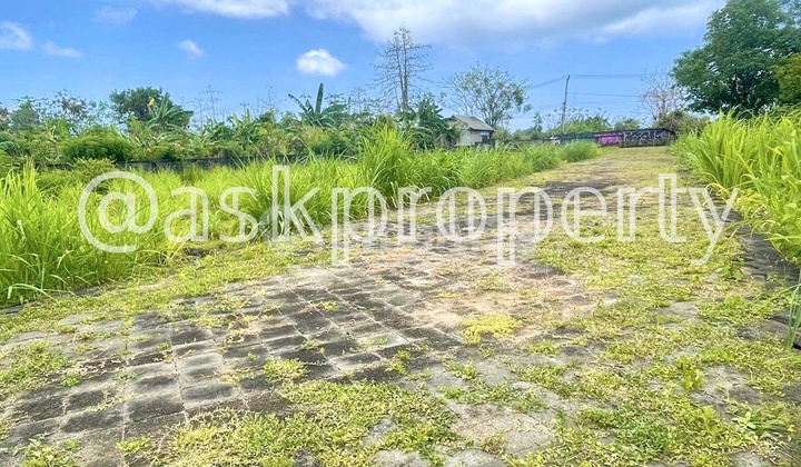 Land for Sale Suitable for Building Villas / Co-living Near Balangan Beach, Jimbaran Bali Land for Sale Suitable for Building Villas / Co-living Near Balangan Beach, Jimbaran Bali