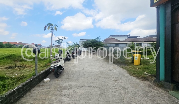 Dijual Sebidang Tanah Lingkungan Villa Siap Bangun Umalas Kerobokan Bali Dijual Sebidang Tanah Lingkungan Villa Siap Bangun Umalas Kerobokan Bali